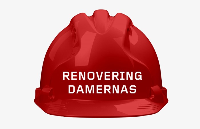Damernas
